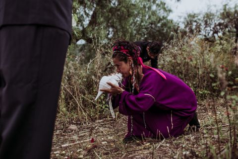 Artwork for Shamelessly Human: Tash Doherty on Peyote Ceremonies, Sensuality & Spiritual Awakening