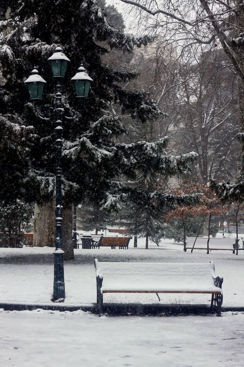 Free Snow-covered park bench and lamp post in Tbilisi park during winter snowfall. Stock Photo