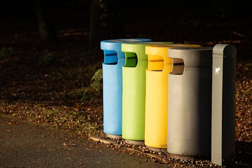 Recycling Bins by Pavement