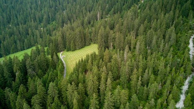 Stunning aerial view of dense forest and a winding road in Flims, Switzerland.