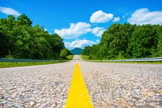 A scenic view of a rural road surrounded by lush greenery and a vibrant blue sky in Virginia.