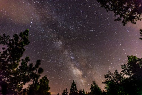 бесплатная Бесплатное стоковое фото с Астрофотография, вечер, деревья Стоковое фото