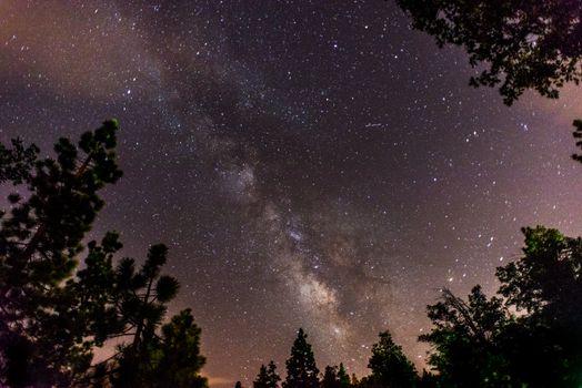 A Starry Night Sky