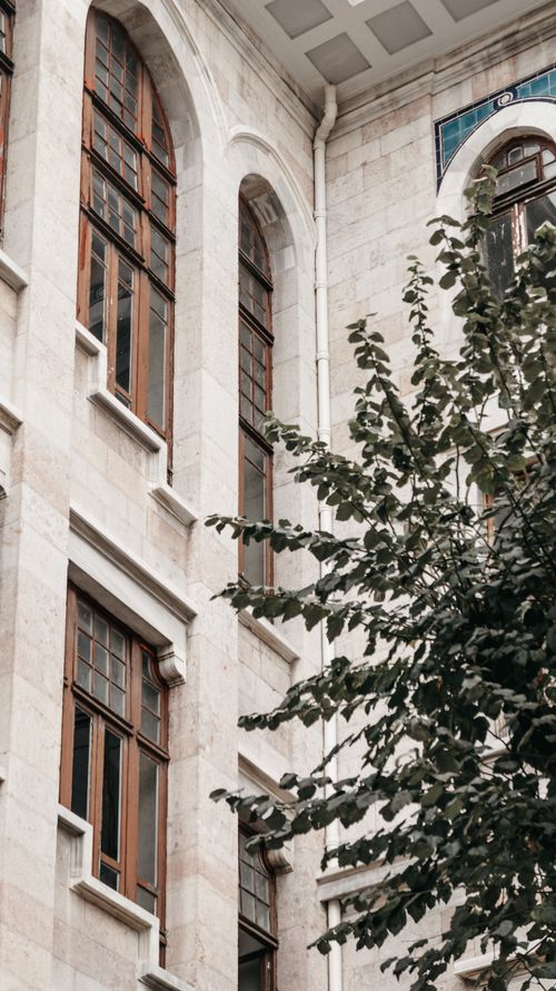 Free Architectural facade with arched windows and tree in Istanbul, showcasing historic design. Stock Photo
