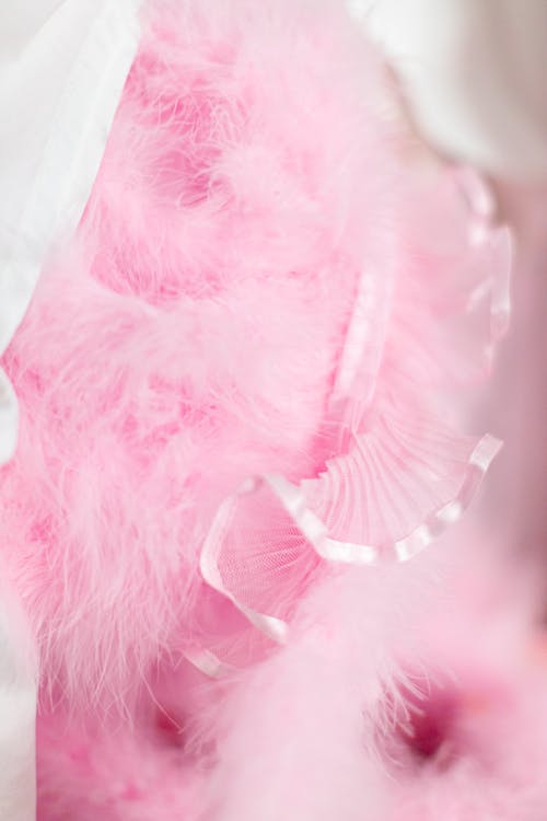 Close-up Photo of Pink Feathers 