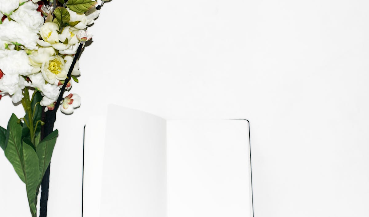 pruning_lavender_avoiding_old_wood