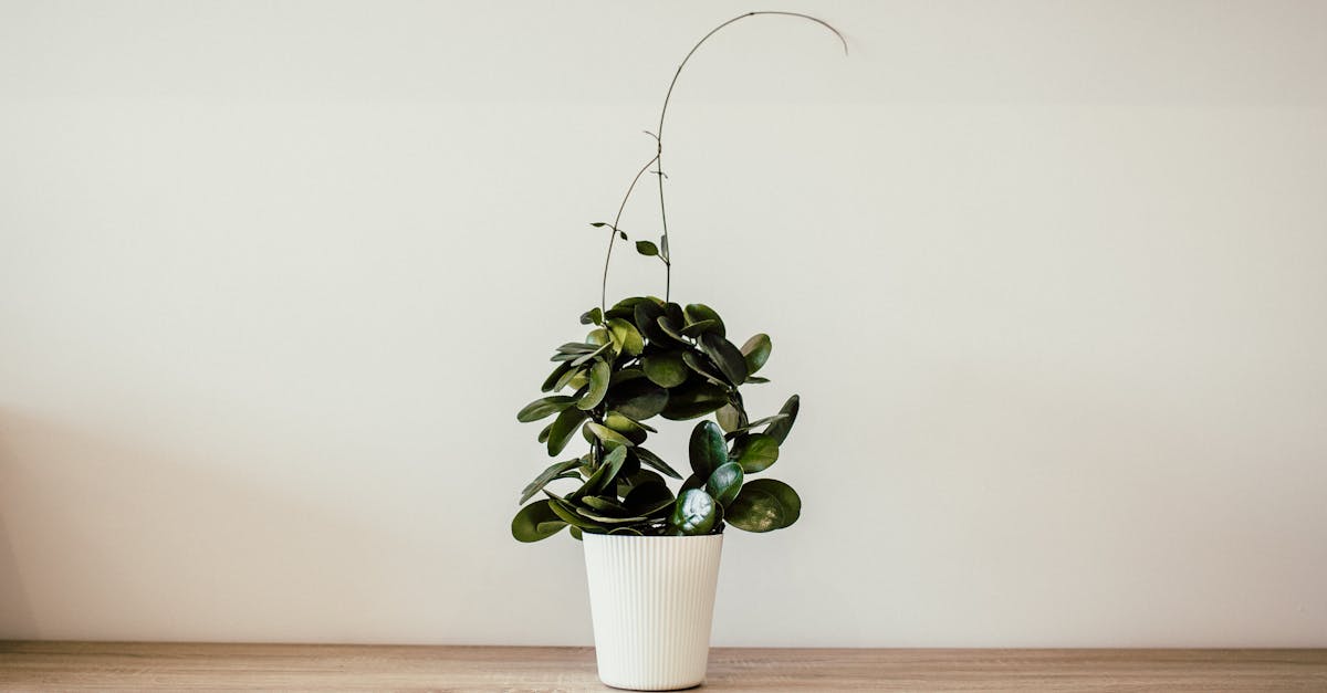 ¿Qué es el lujo silencioso en moda? ¿Qué es el lujo silencioso en moda?