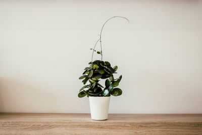 Vaso Decorativo Cerâmica