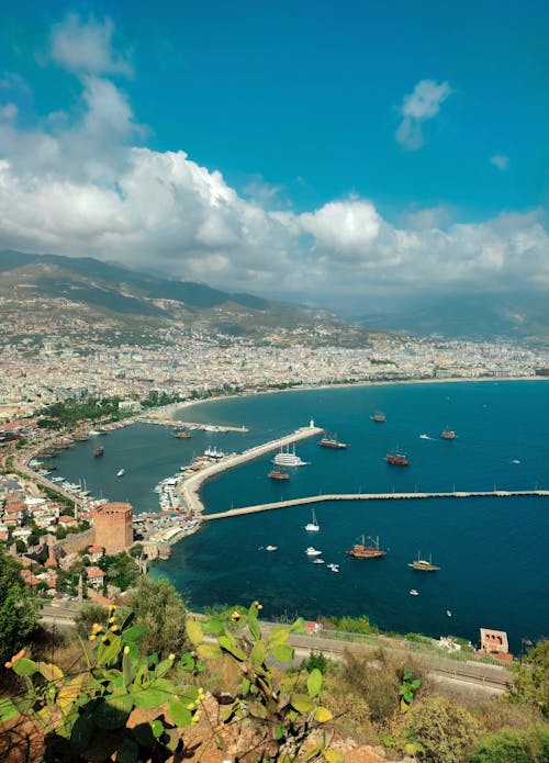 Aerial View of Boats on Sea Near City