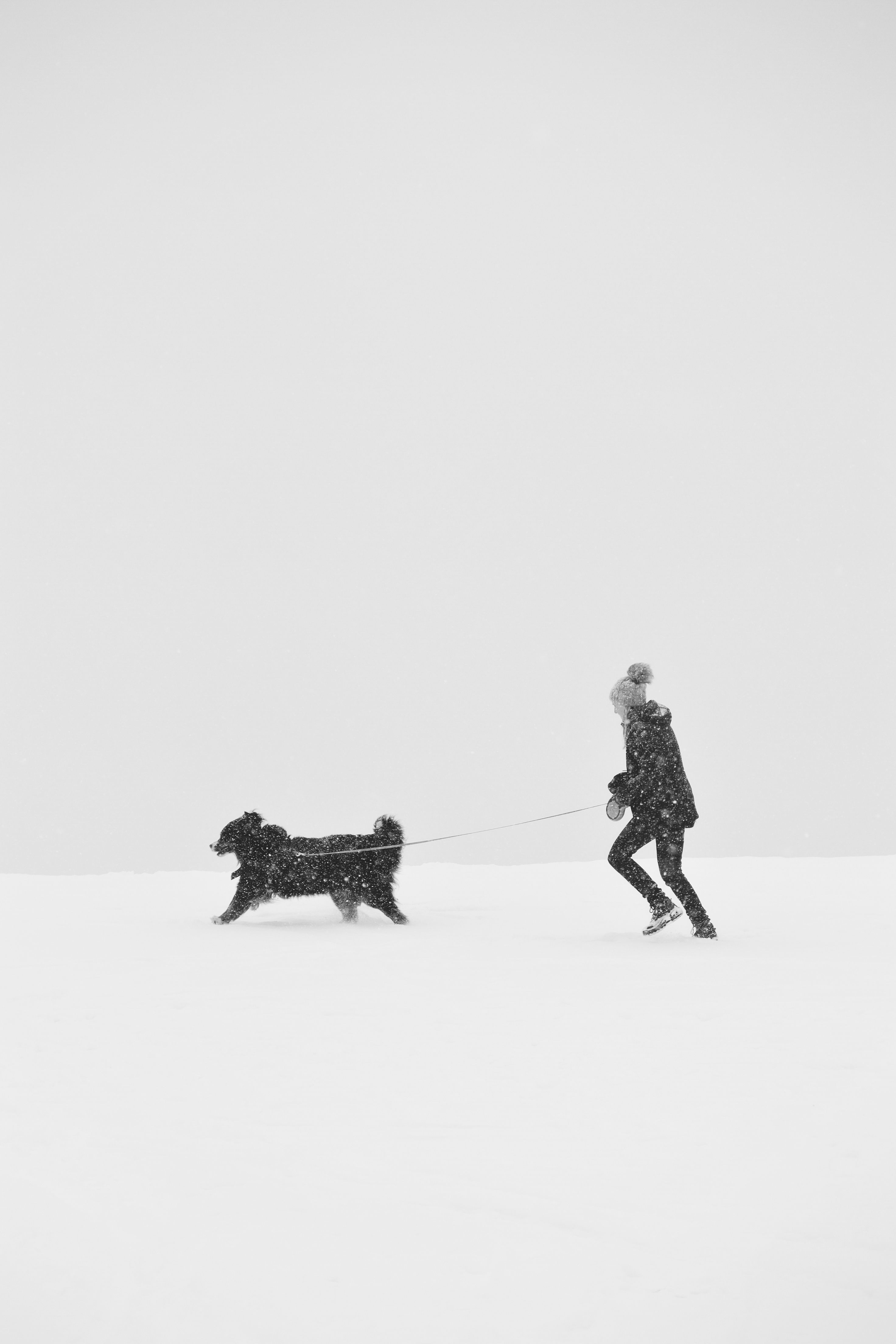 Silhouetted person walking dog in heavy snow blizzard, creating a stark and dramatic winter scene.