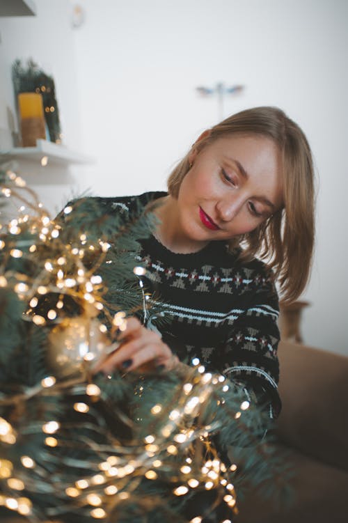 無料 クリスマスの灯り, セレクティブフォーカス, ボケの無料の写真素材 写真素材