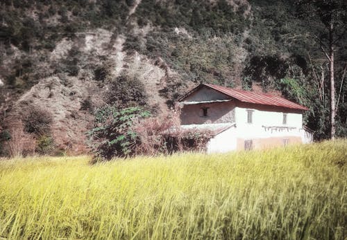 Foto stok gratis alam, bagus, Nepal