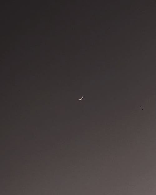 Fotobanka s bezplatnými fotkami na tému luna, lunárny, mesiac v tvare kosáka