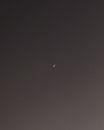 Black Bird Flying