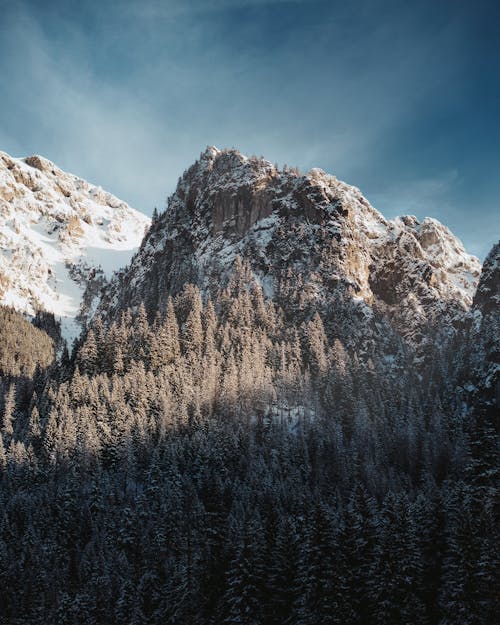 Snowcapped Mountain and Forest 