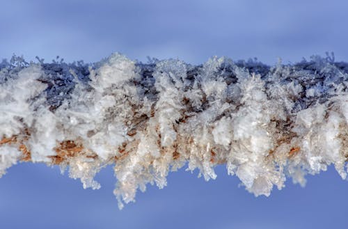 Close Up Photography of Wood with Snow