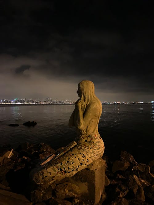 Free stock photo of mermaid, night, sea