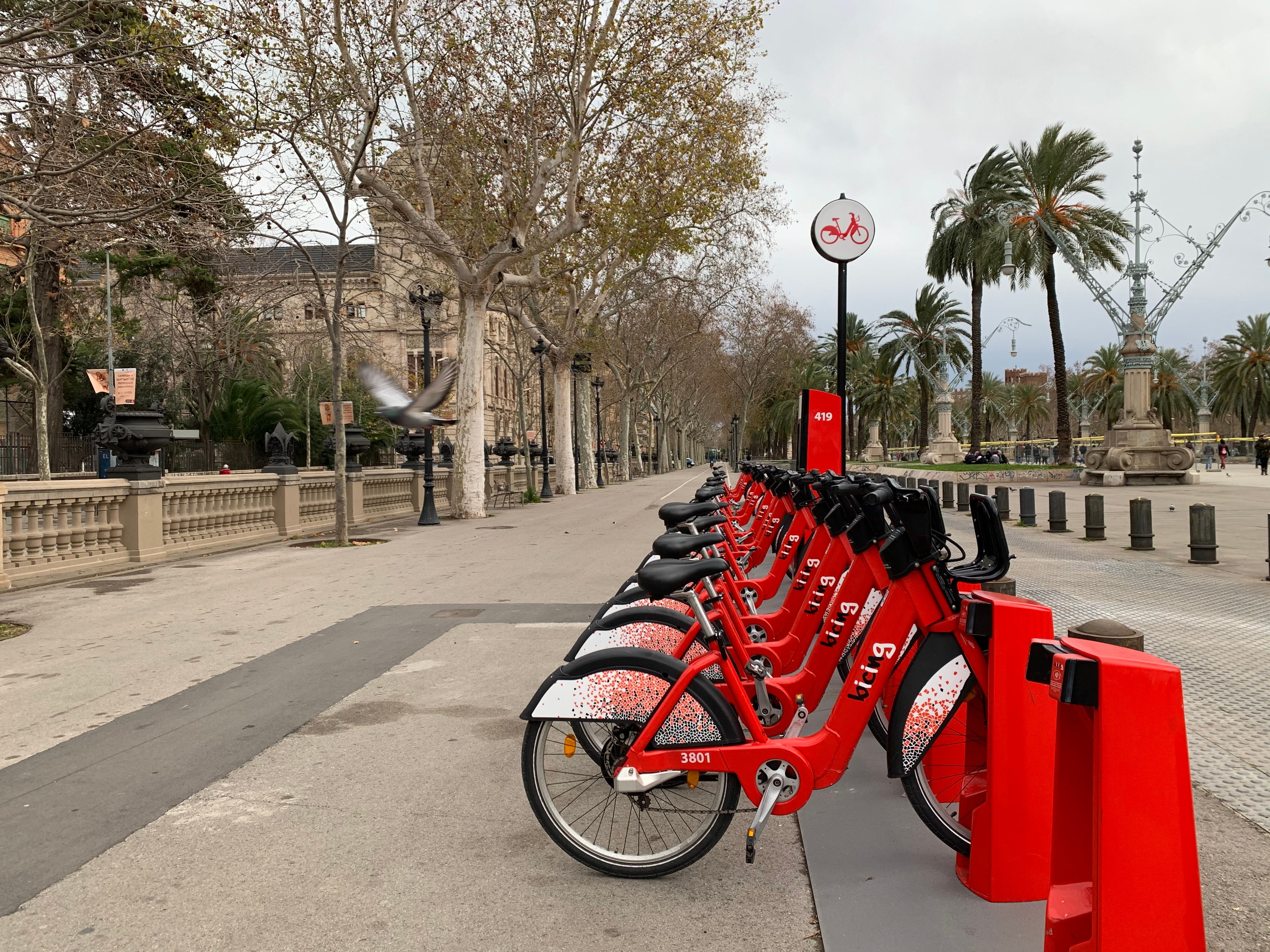 Noleggio bici a lungo termine: la guida completa