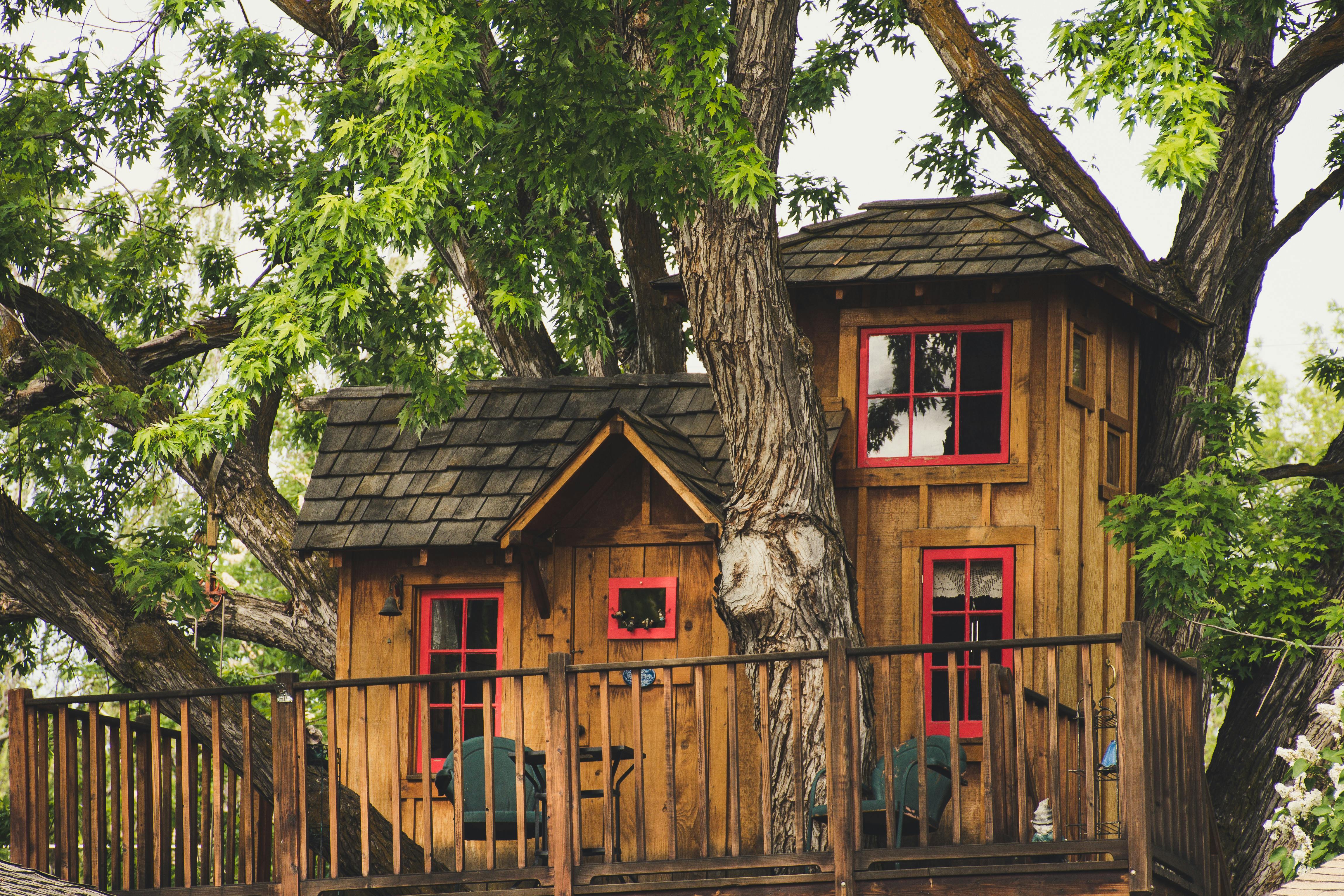 Brown Wooden House Near Trees