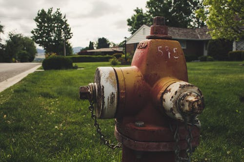 ảnh Về Red Fire Hydrant