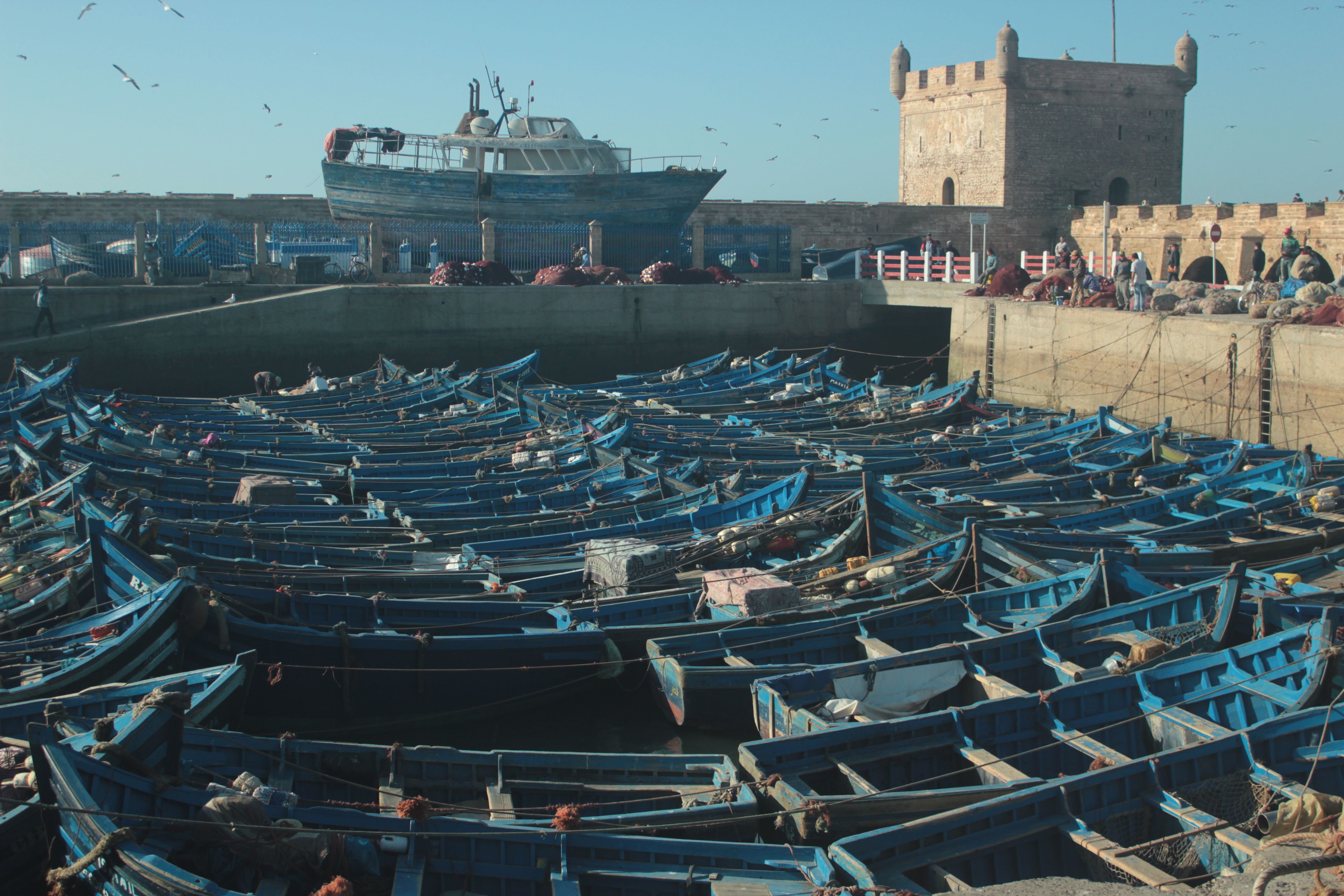 Charming blue and white streets of Essaouira's medina, Morocco