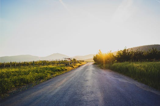 A serene countryside road illuminated by the warm glow of the setting sun, evoking tranquility and wanderlust.