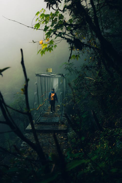 Person Carrying Backpack Crossing the Bridge in the Forest