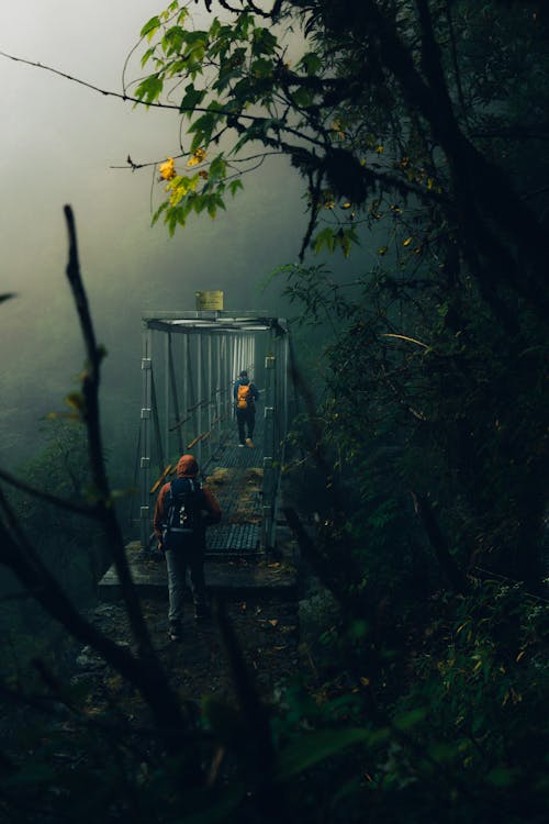 People Crossing the Bridge in the Forest