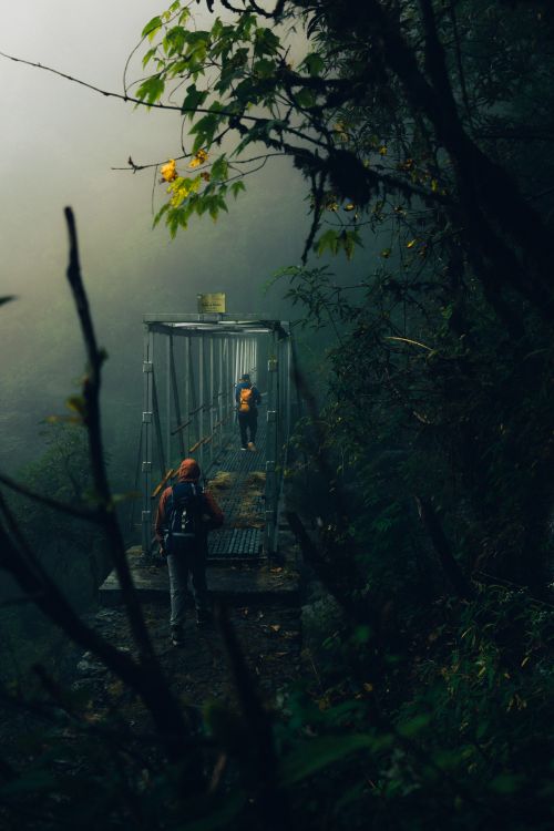 Free Hikers cross a misty bridge in a dense forest in Nepal, embracing adventure. Stock Photo