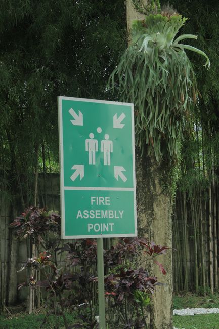 What is the primary purpose of a designated assembly point during an evacuation?