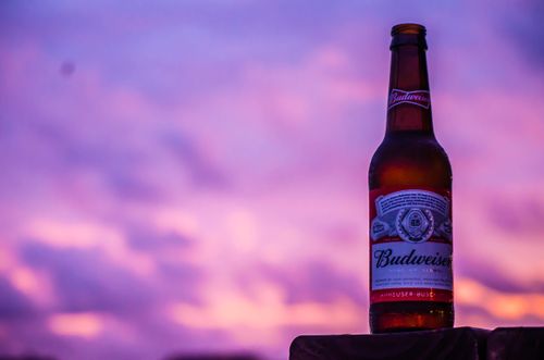 Free stock photo of beer bottle Stock Photo