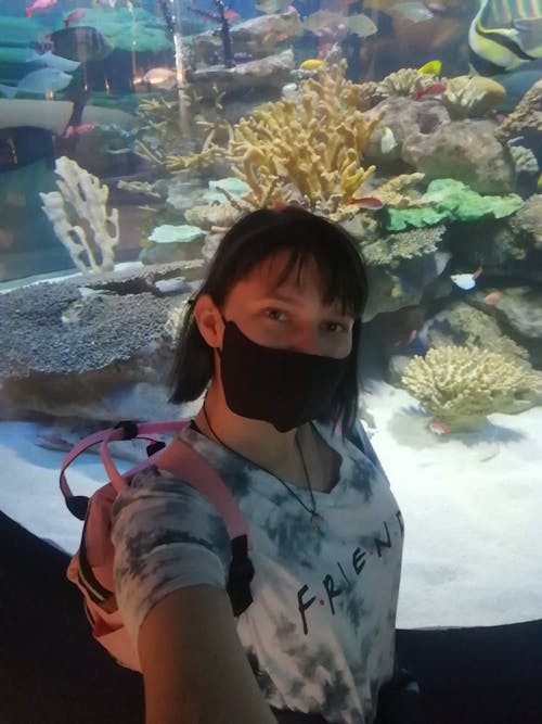Gratis stockfoto met aquarium, aquariumvissen, dame