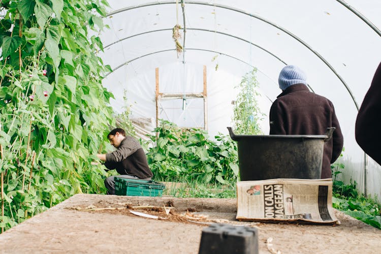 Growing Together: Exploring Community Garden Opportunities thumbnail