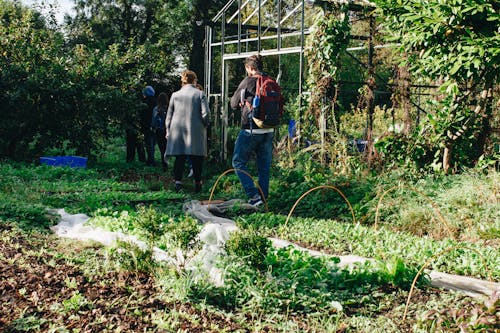 Person Standing Near Greenhouse