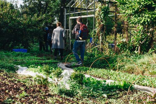 Free People exploring an organic garden in Dublin, Ireland during a sunny day. Stock Photo