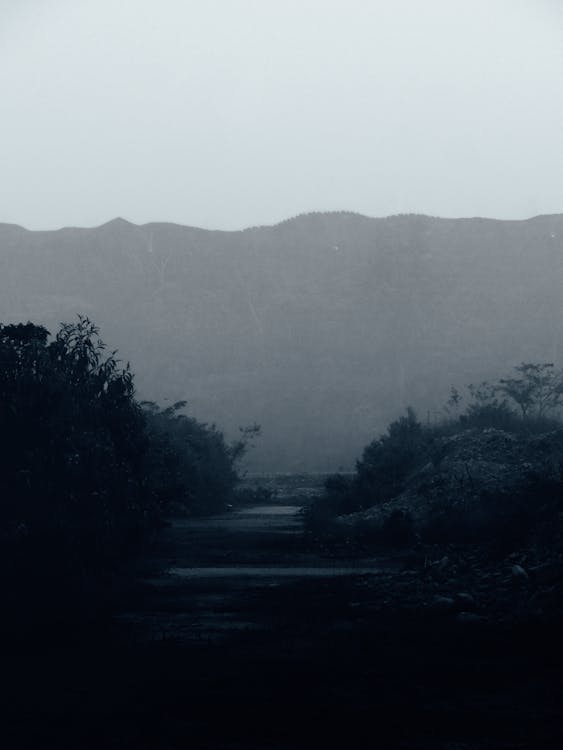 Foto profissional grátis de cair da noite, crepúsculo, fim da tarde