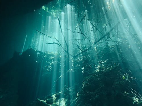 Sunlight Over Debris Underwater