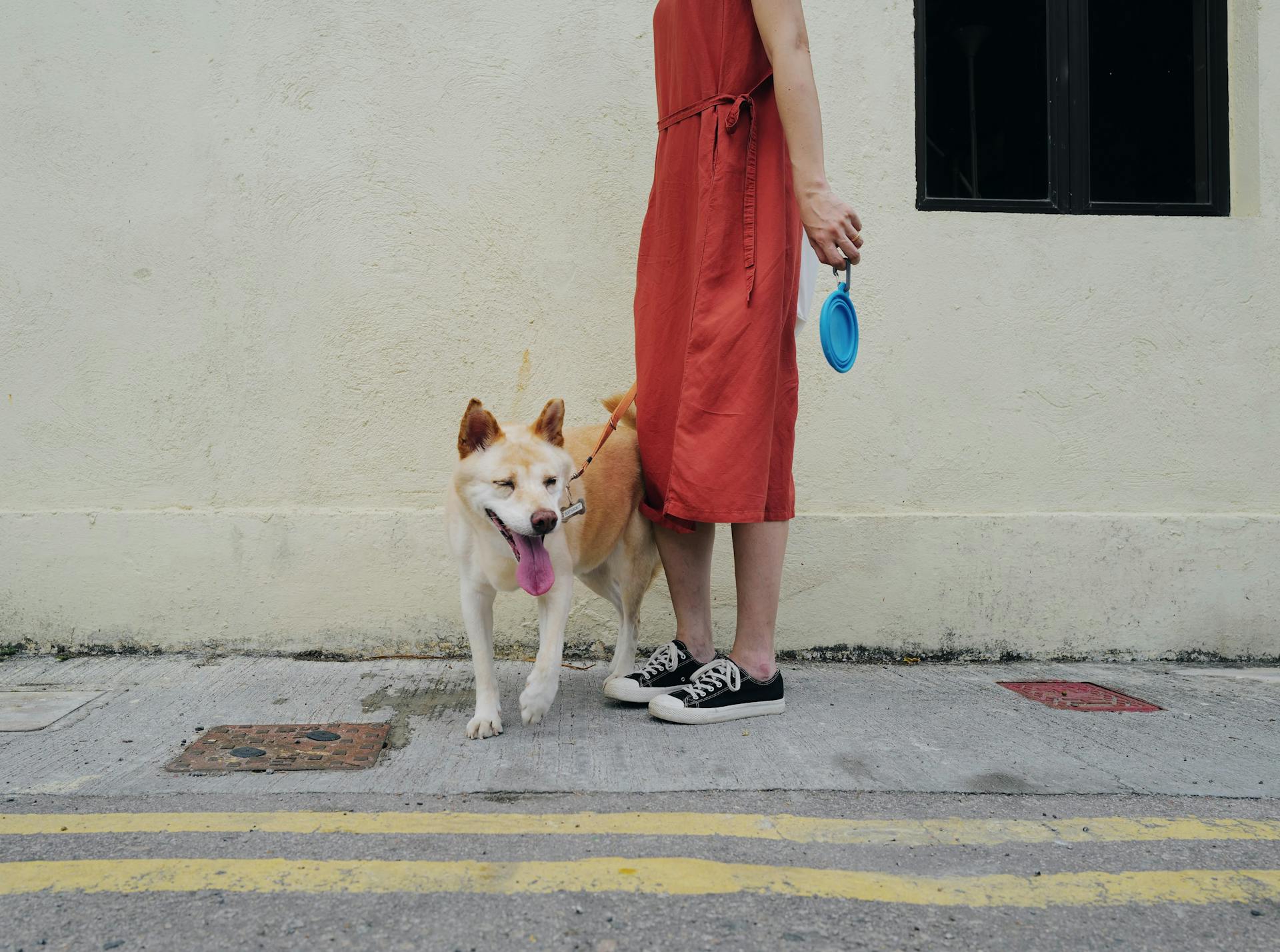 A Woman with a Dog