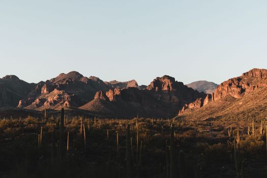 Stunning sunset over the cactus-filled Superstition Mountains, Arizona.