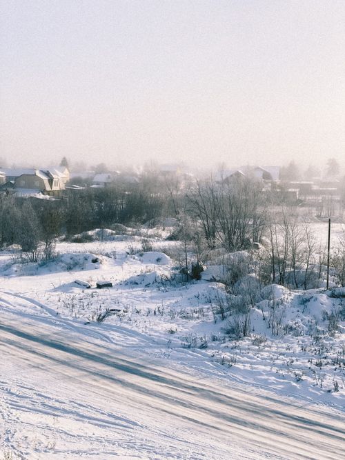 Free A serene winter landscape showcasing snow-covered trees and houses under a frosty white sky. Stock Photo