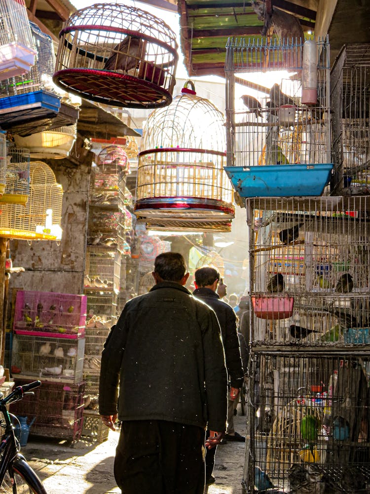 People Walking By Bird Cages At Bird Market Kabul