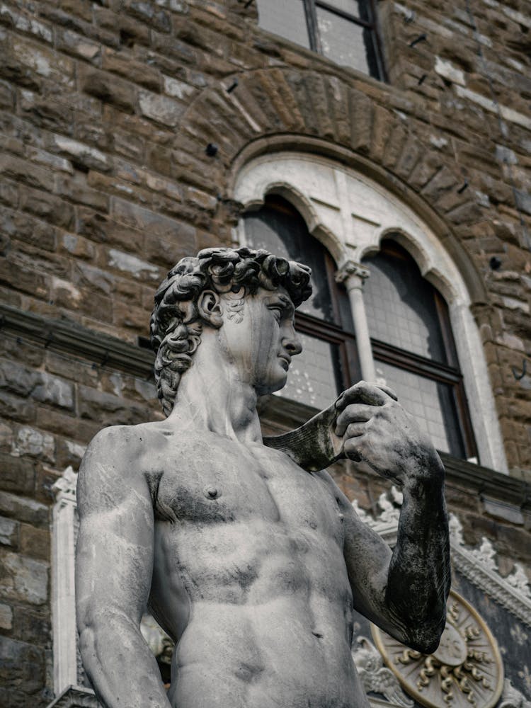 Sculpture Of David