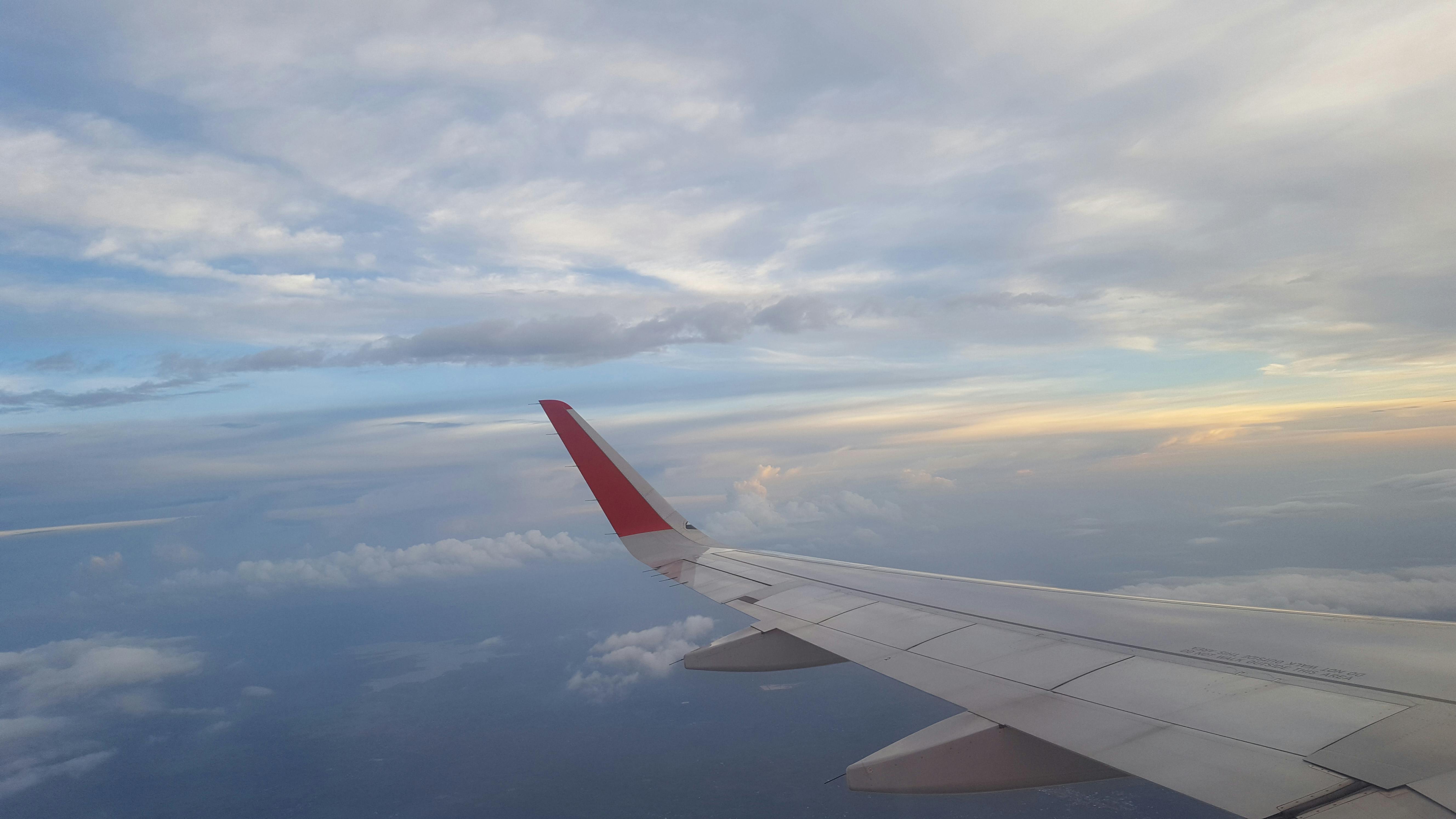 フライト 青空 飛行機の無料の写真素材