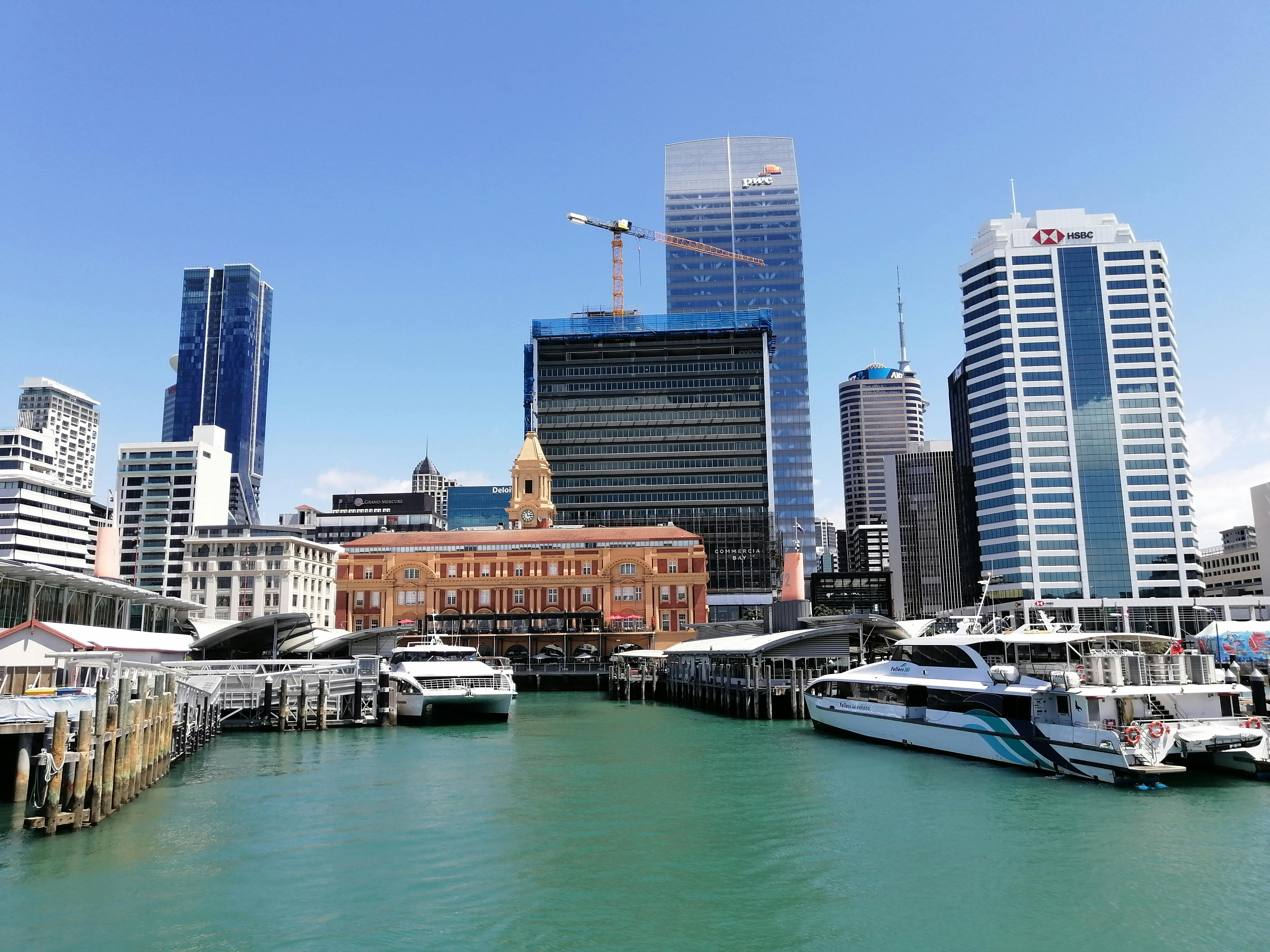 New Zealand CBD