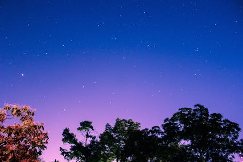 Immagine gratuita di alberi, astro, ore notturne