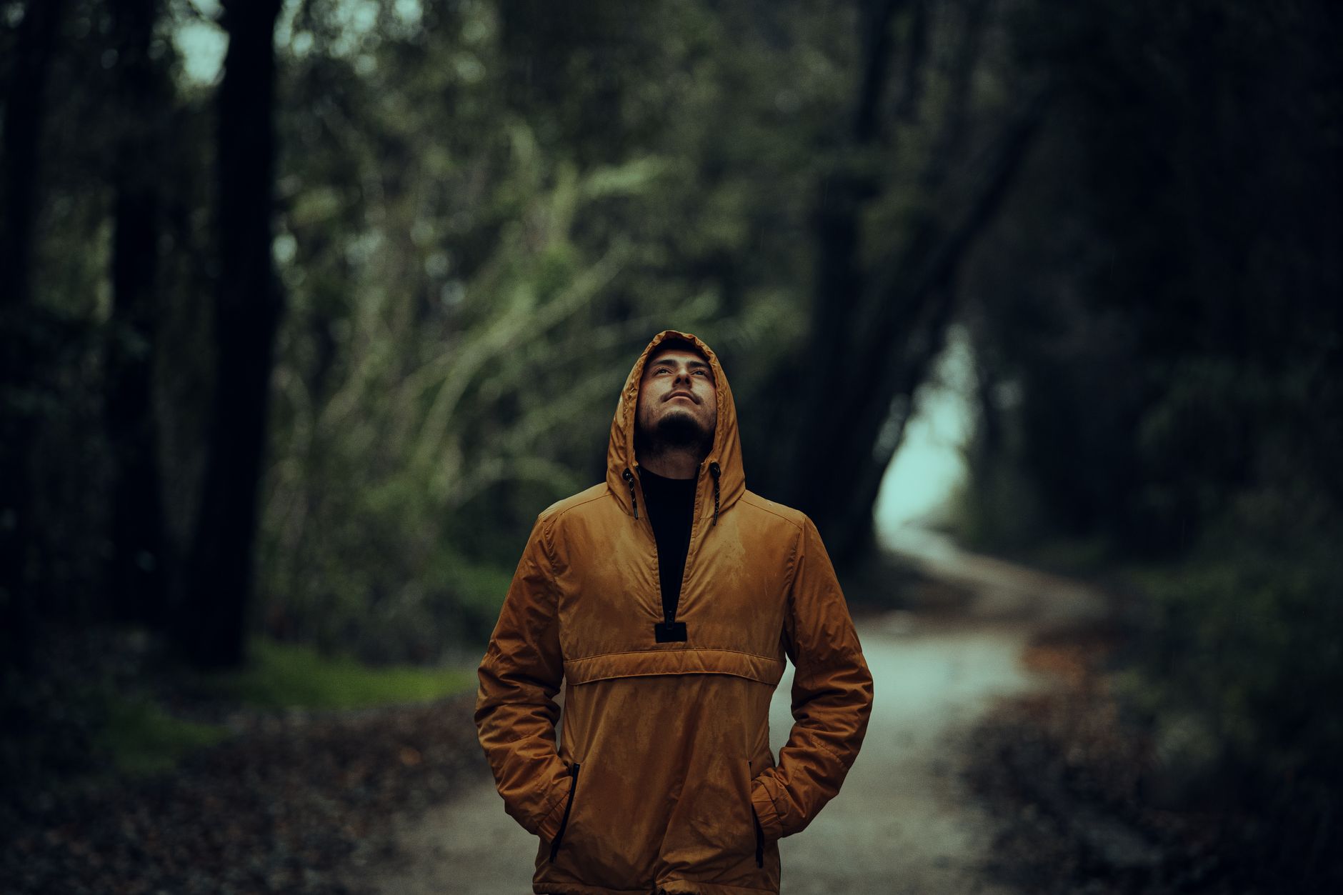 A man walks through a serene forest wearing a yellow jacket, capturing the essence of solitude.