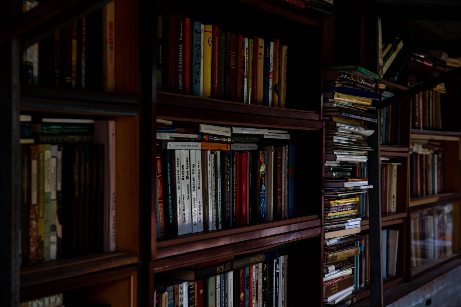 A dimly lit bookshelf filled with an array of books, creating a cozy and intellectual ambiance.