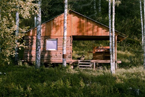 Ilmainen kuvapankkikuva tunnisteilla bungalow, luonto, metsä Kuvapankkikuva