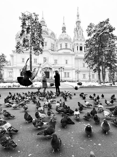 Grayscale Photo of People Standing on Street Near Pigeons