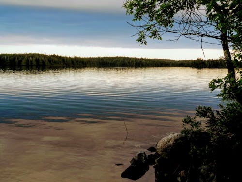 Foto d'estoc gratuïta de aigua, fotografia de natura, llac